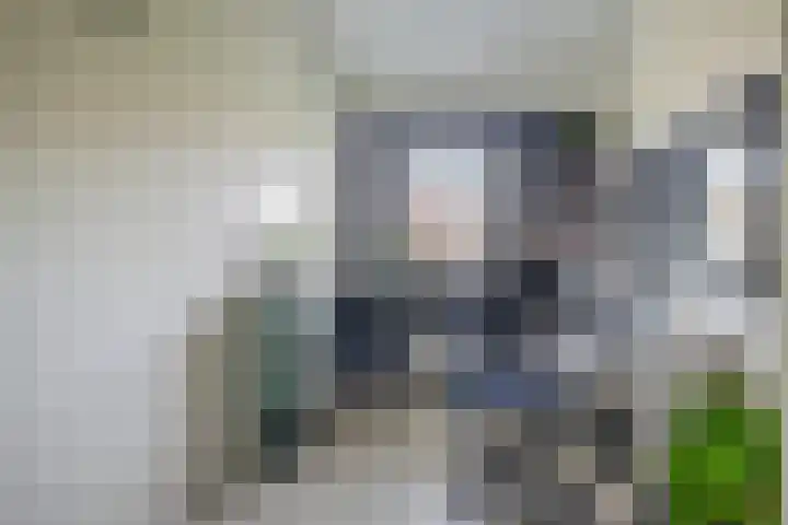 Priamsingel 271 Capelle aan den IJssel thumbnail 38