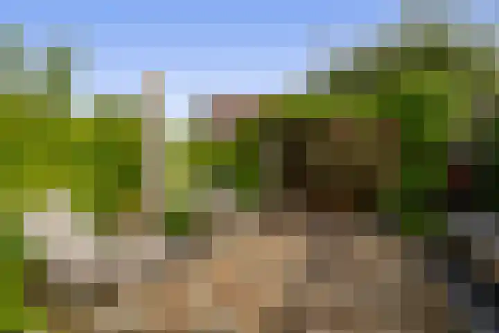Priamsingel 271 Capelle aan den IJssel thumbnail 4