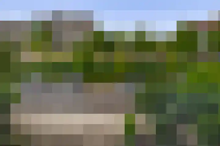 Priamsingel 271 Capelle aan den IJssel thumbnail 42
