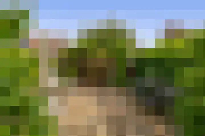Priamsingel 271 Capelle aan den IJssel thumbnail 43