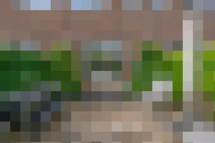 Priamsingel 271 Capelle aan den IJssel thumbnail 46