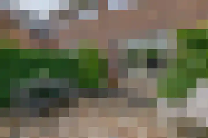 Priamsingel 271 Capelle aan den IJssel thumbnail 47