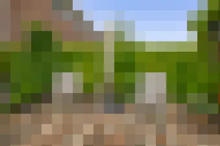 Priamsingel 271 Capelle aan den IJssel thumbnail 48