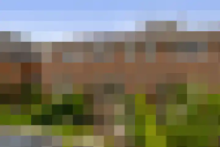 Priamsingel 271 Capelle aan den IJssel thumbnail 49