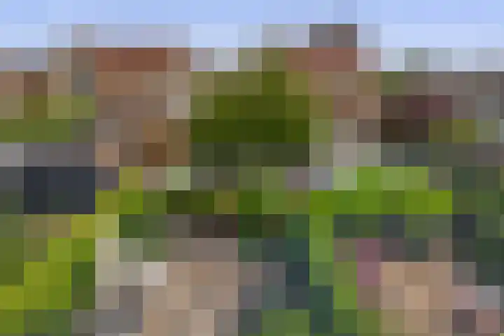 Priamsingel 271 Capelle aan den IJssel thumbnail 50