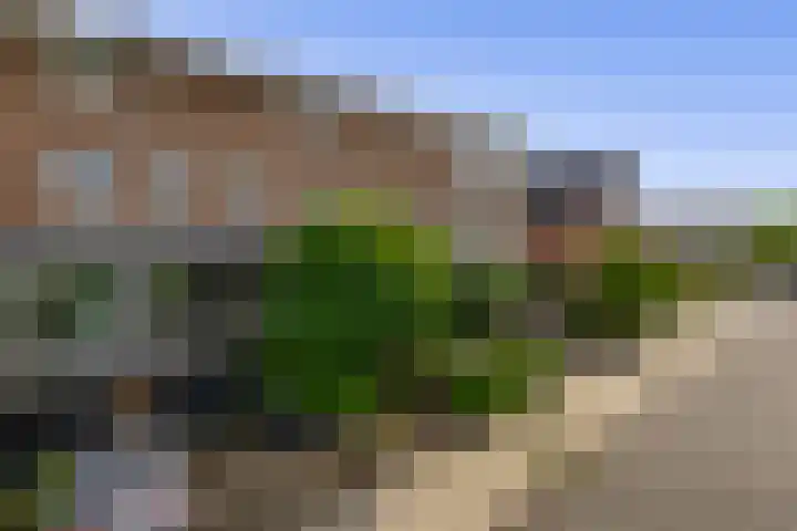 Priamsingel 271 Capelle aan den IJssel thumbnail 6