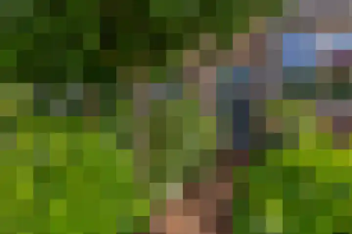 Priamsingel 271 Capelle aan den IJssel thumbnail 8