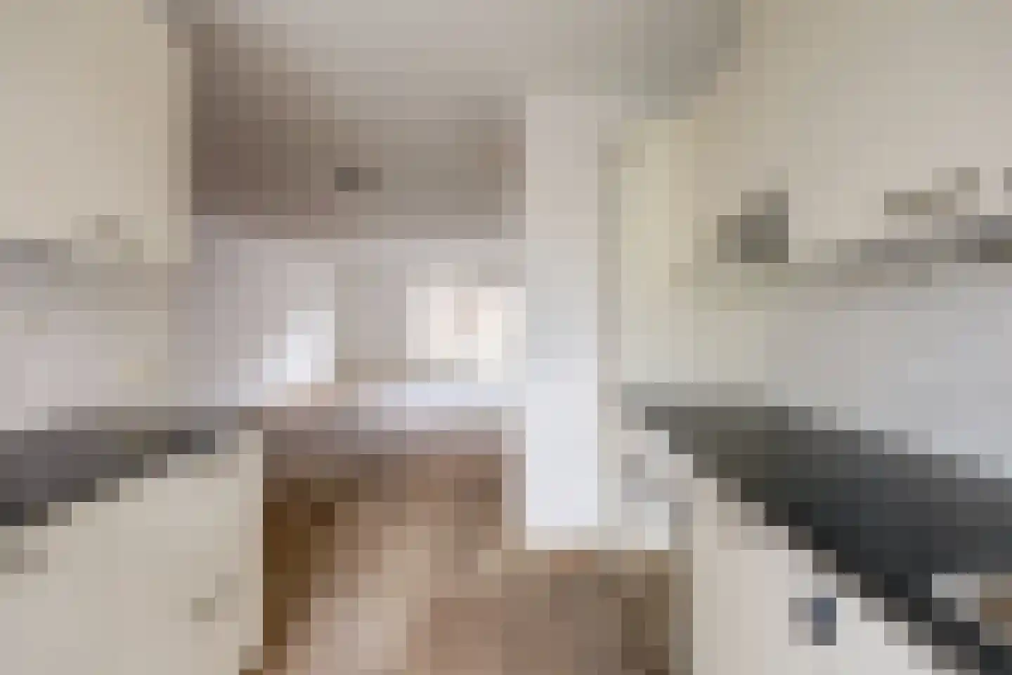 Priamsingel 55 Capelle aan den IJssel thumbnail 6