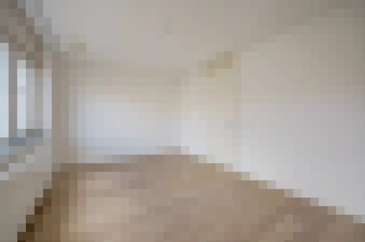 Priamsingel 55 Capelle aan den IJssel thumbnail 9