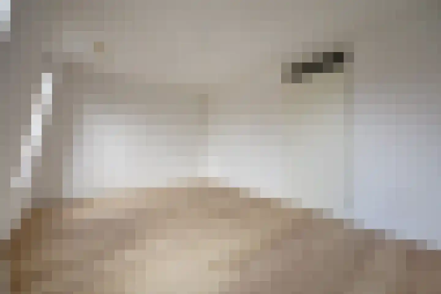 Priamsingel 55 Capelle aan den IJssel thumbnail 27