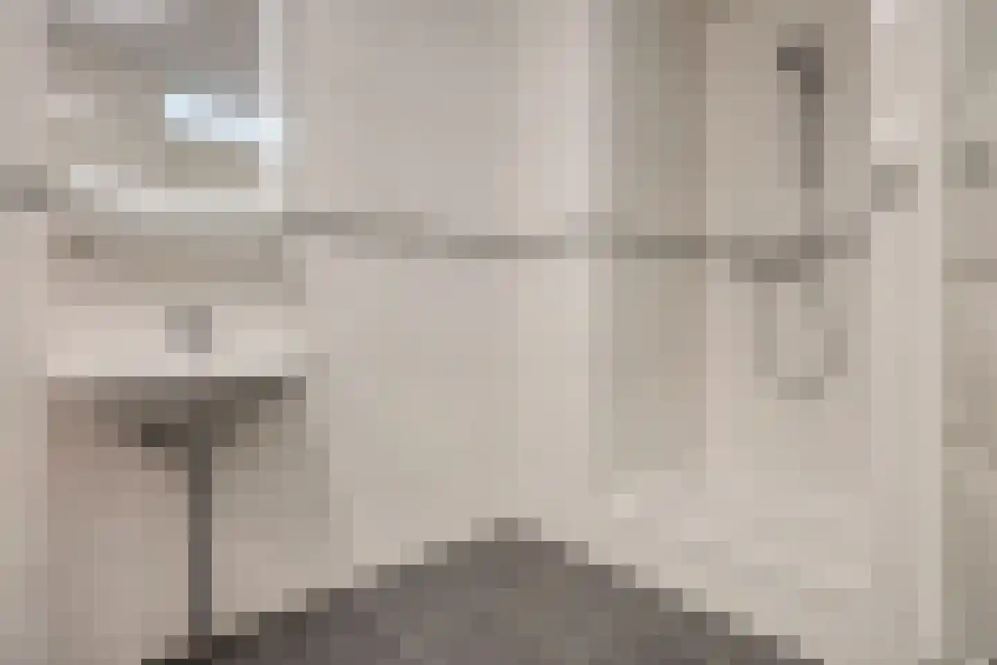 Priamsingel 55 Capelle aan den IJssel thumbnail 17