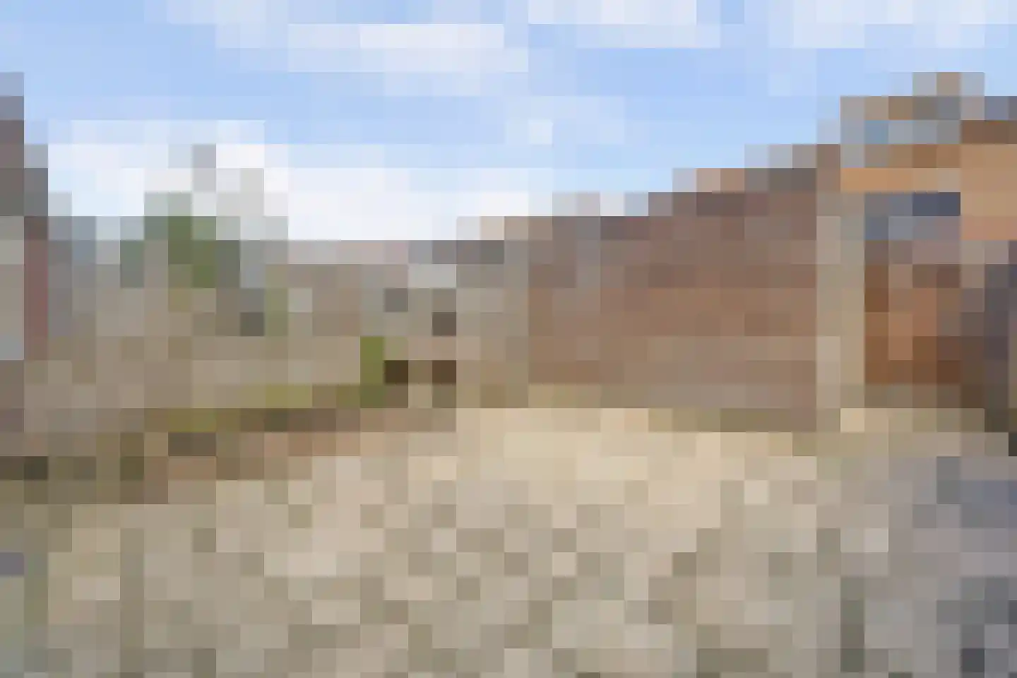 Priamsingel 55 Capelle aan den IJssel thumbnail 31