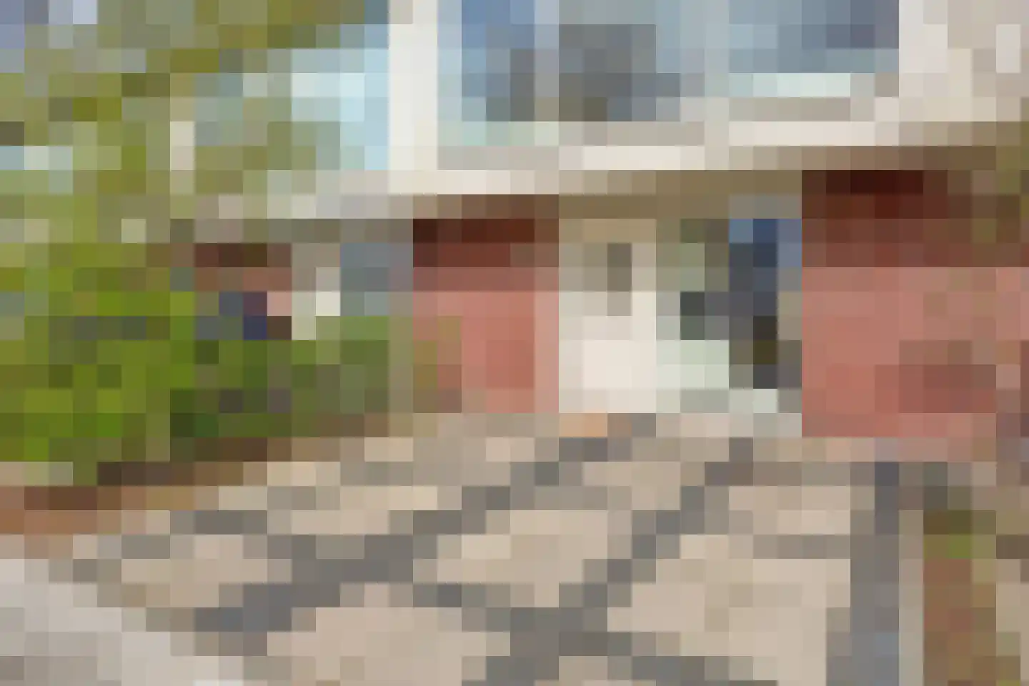 Priamsingel 55 Capelle aan den IJssel thumbnail 33