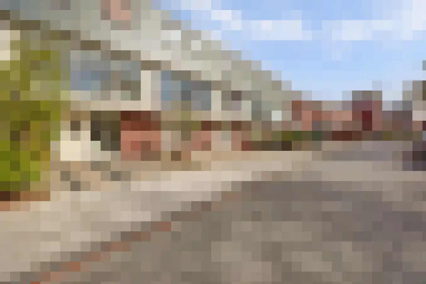 Priamsingel 55 Capelle aan den IJssel thumbnail 36