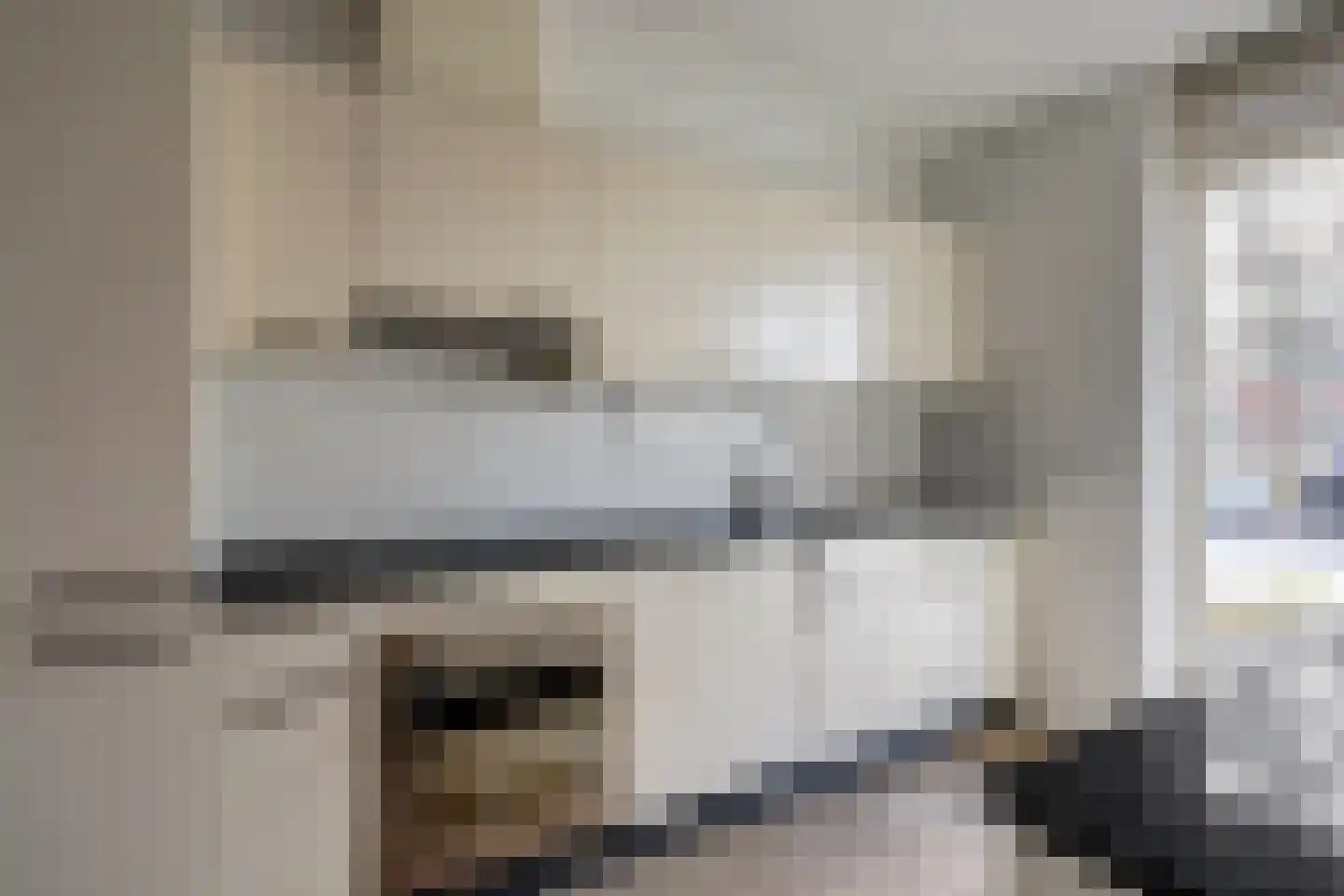 Priamsingel 55 Capelle aan den IJssel thumbnail 4