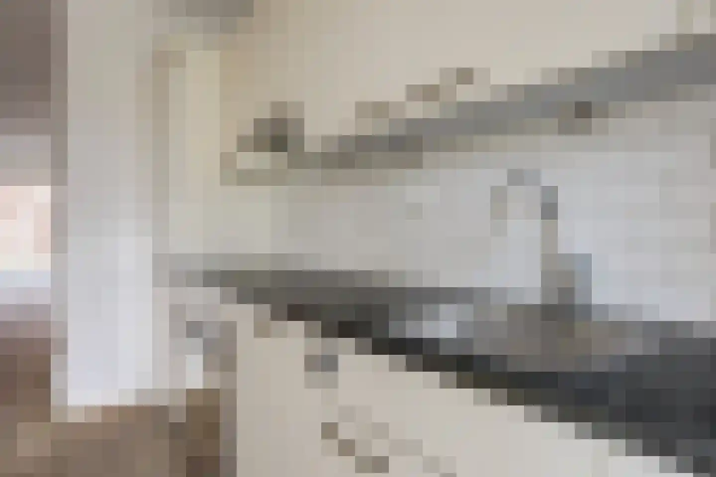 Priamsingel 55 Capelle aan den IJssel thumbnail 5