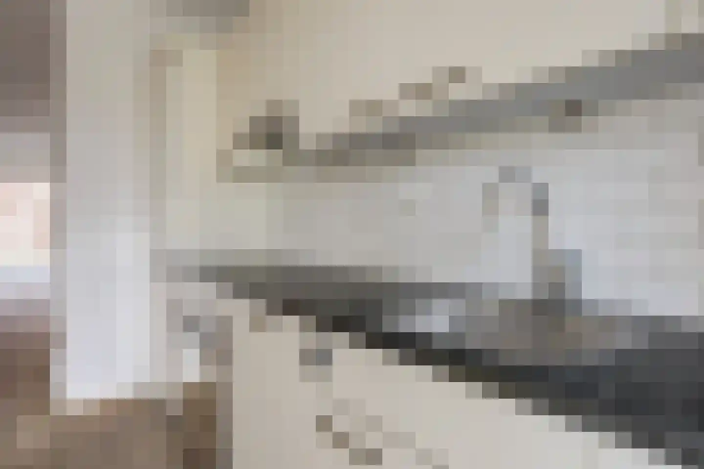 Priamsingel 55 Capelle aan den IJssel thumbnail 8