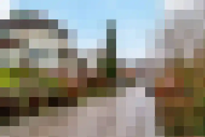 Prickart 18 a Bocholtz thumbnail 37