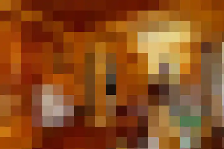 Prickart 18 a Bocholtz thumbnail 9