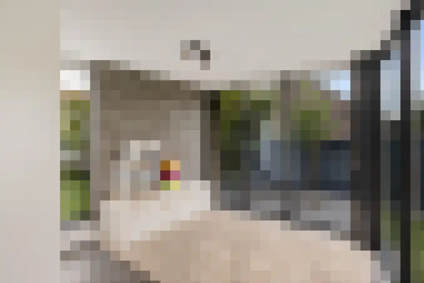 Prickart 35 Bocholtz thumbnail 16