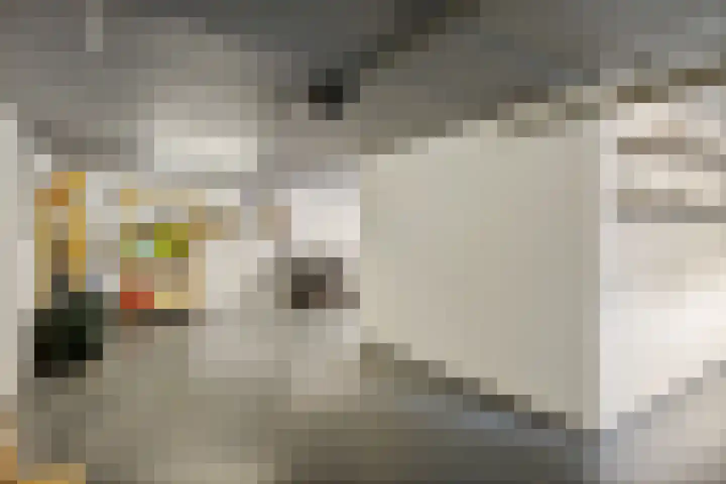 Prickart 35 Bocholtz thumbnail 43