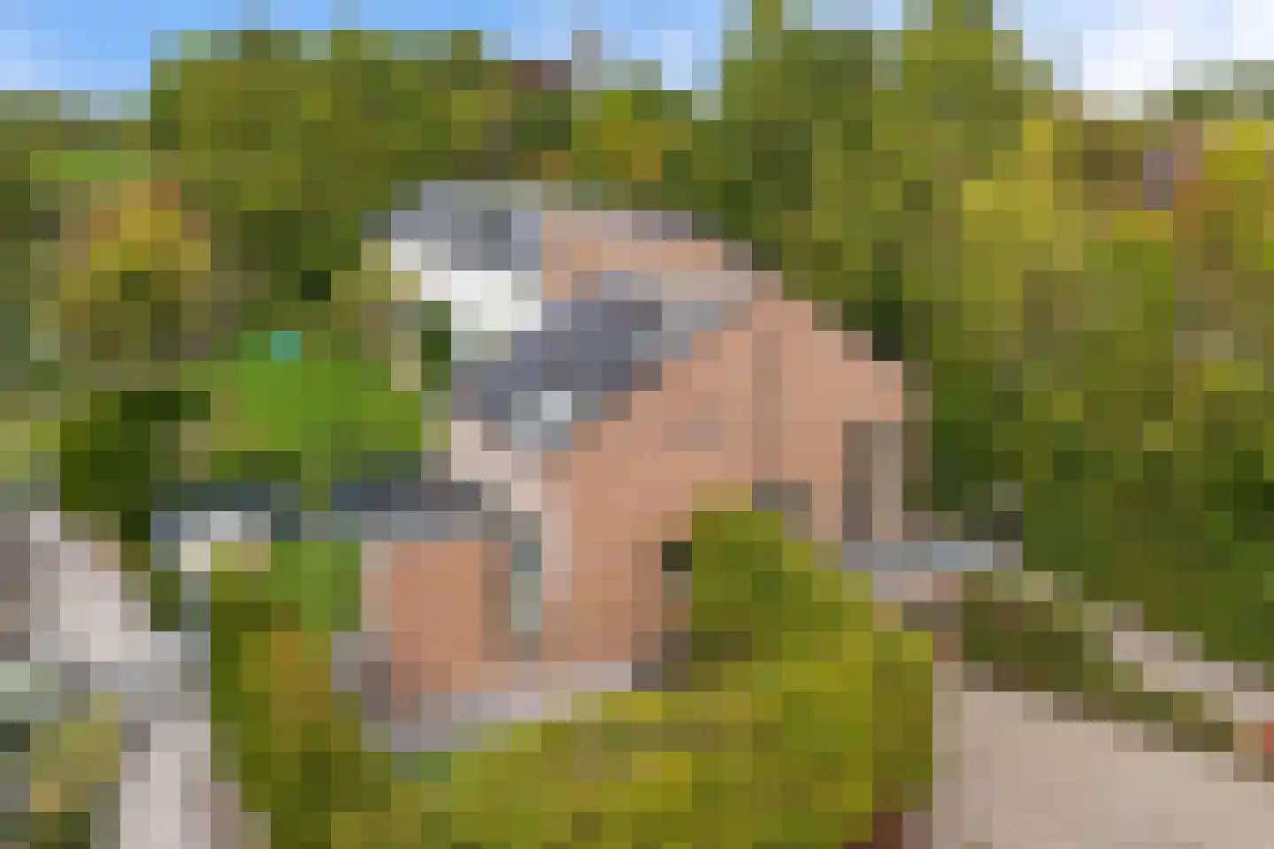 Prickart 35 Bocholtz thumbnail 45