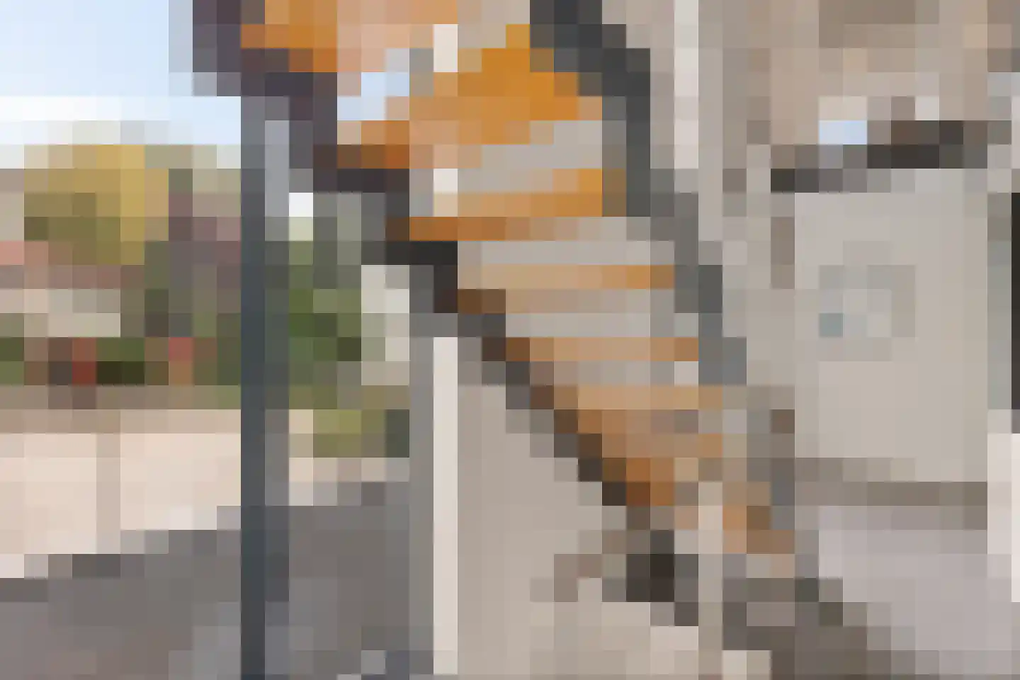 Prickart 35 Bocholtz thumbnail 7
