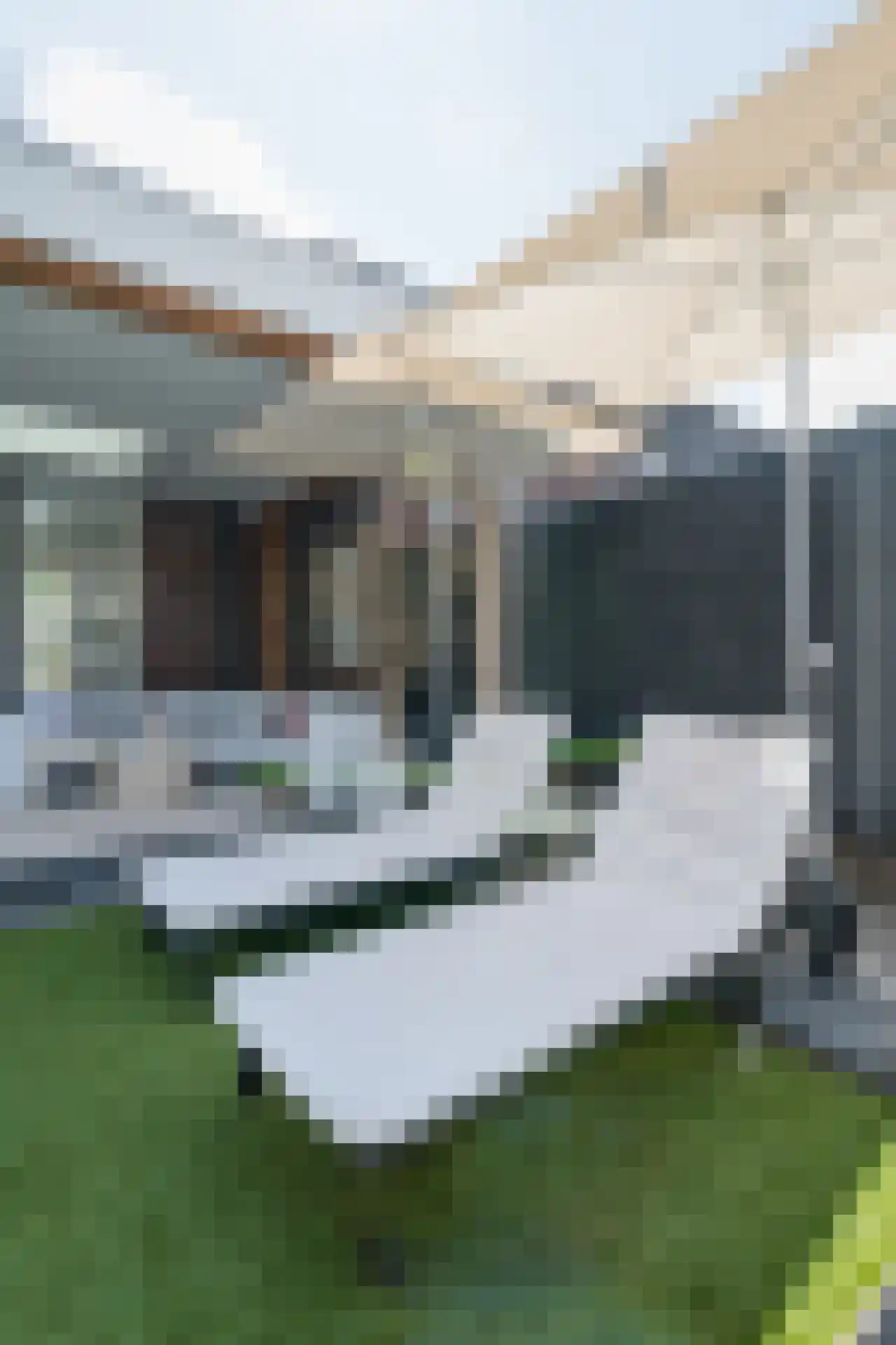 Prickenscheydt 22 Landgraaf thumbnail 35