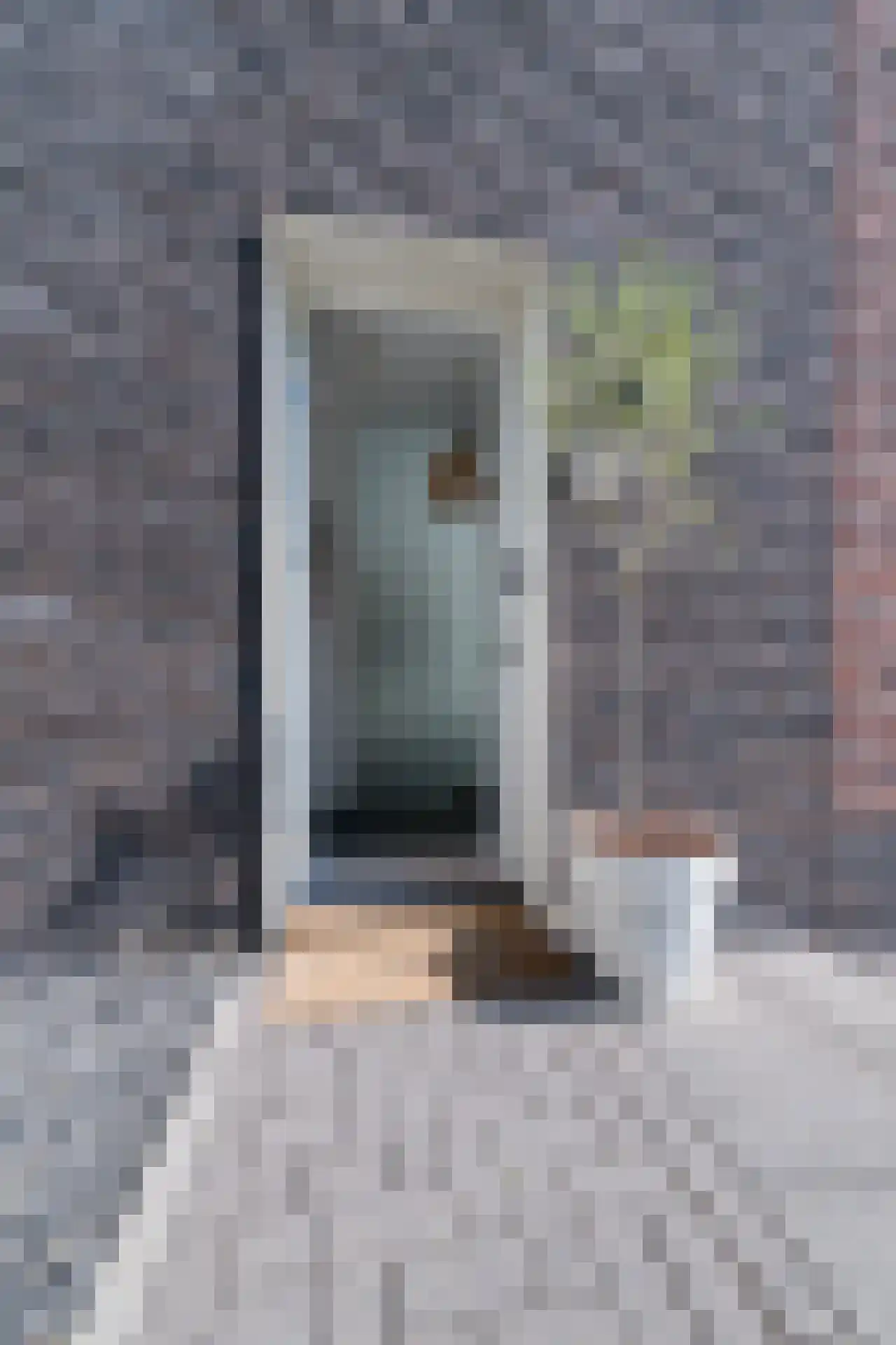 Prickenscheydt 22 Landgraaf thumbnail 8