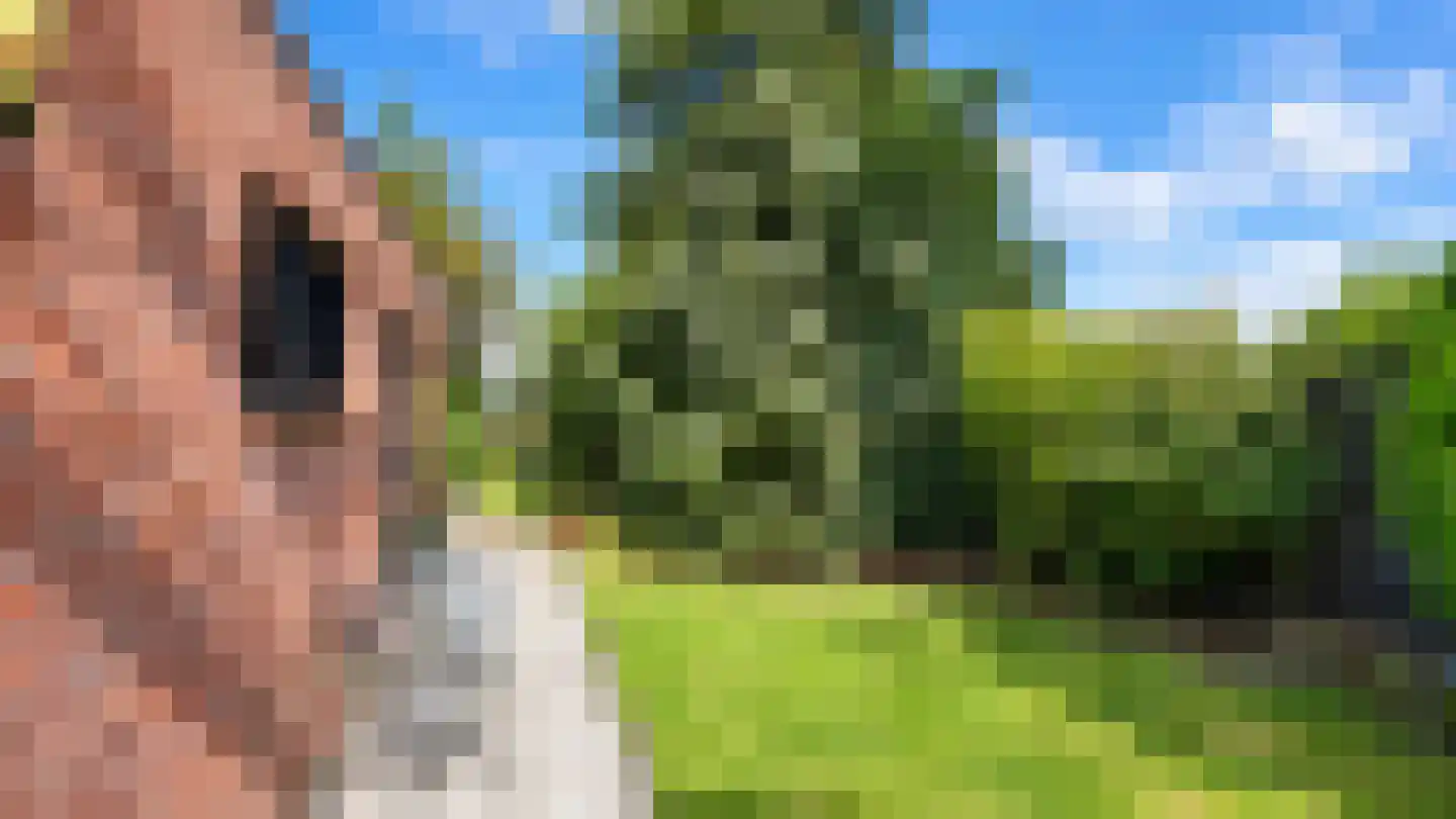 Pricksteenweg 11 Kerkrade thumbnail 31