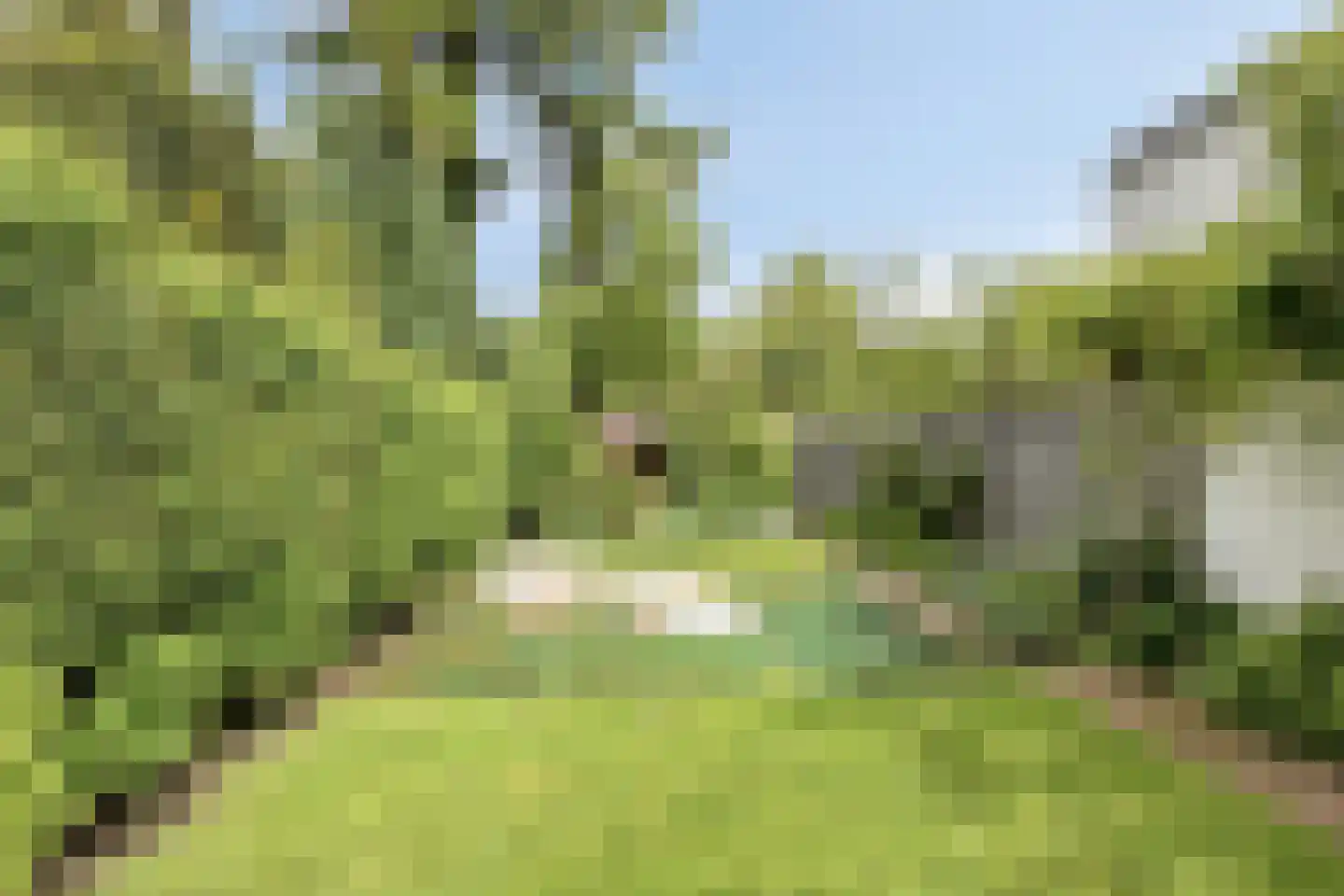 Pricksteenweg 13 Kerkrade thumbnail 36