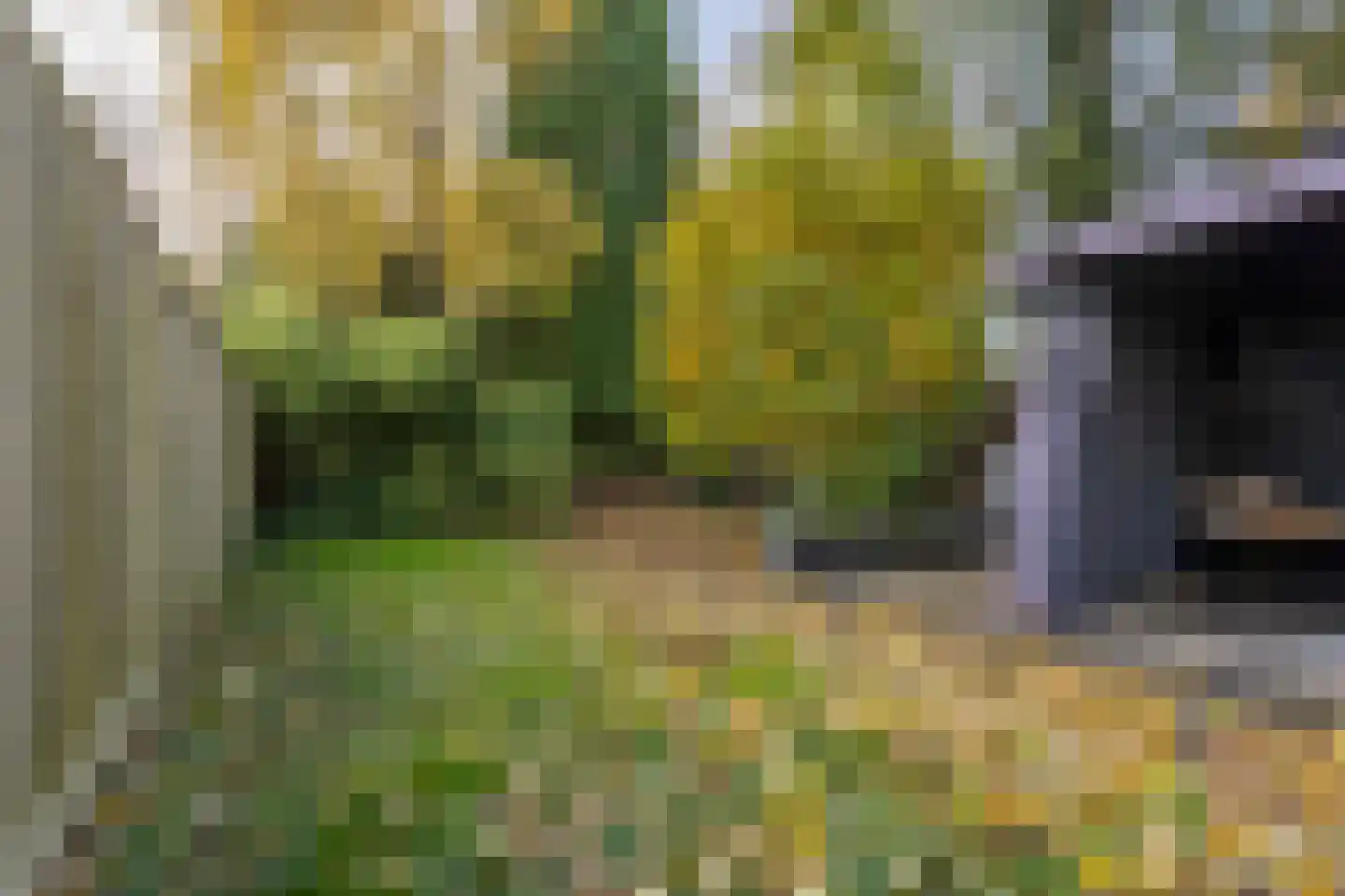 Pricksteenweg 74 Kerkrade thumbnail 27