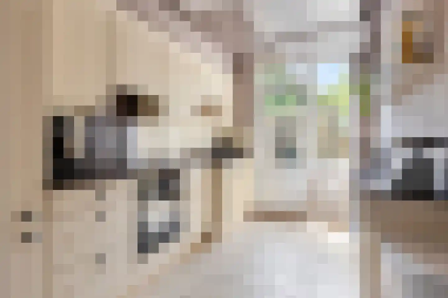 Prickwaert 1 Sliedrecht thumbnail 10