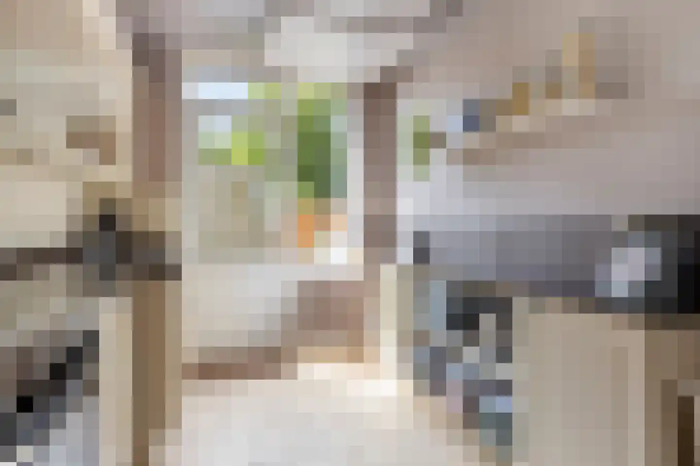 Prickwaert 1 Sliedrecht thumbnail 11