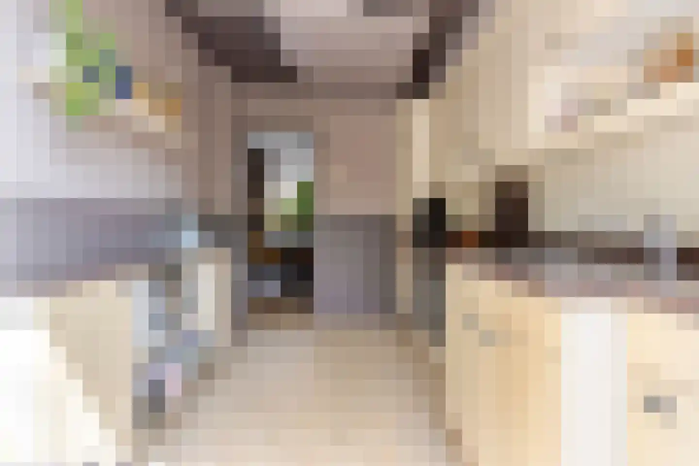 Prickwaert 1 Sliedrecht thumbnail 12