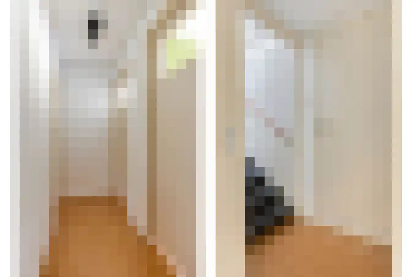 Prickwaert 1 Sliedrecht thumbnail 22