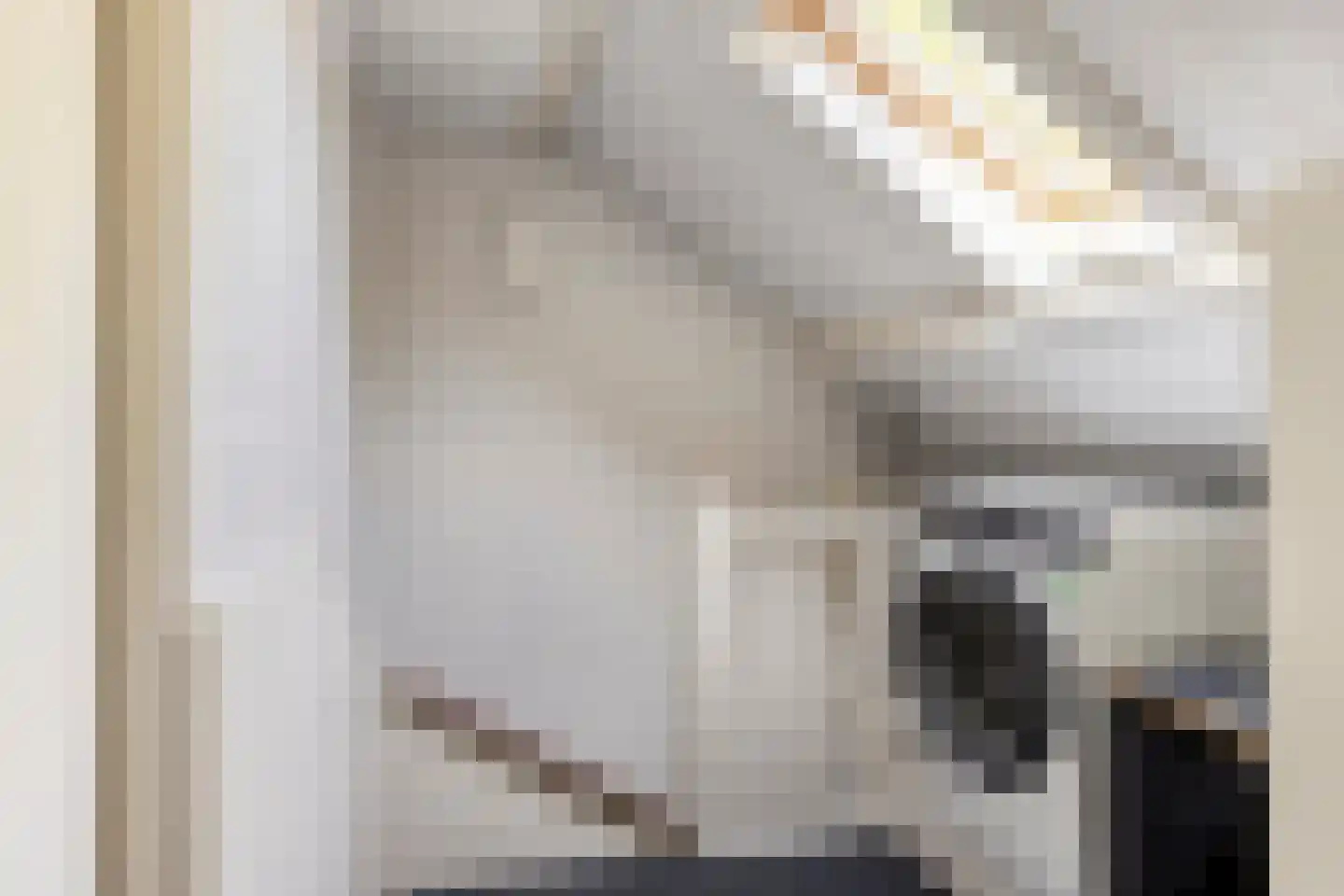 Prickwaert 1 Sliedrecht thumbnail 23