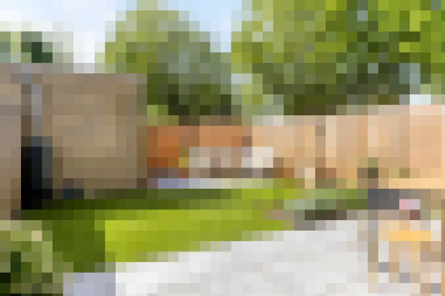 Prickwaert 1 Sliedrecht thumbnail 28