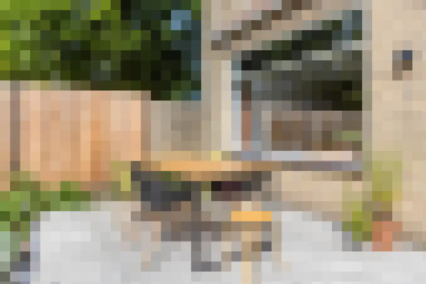 Prickwaert 1 Sliedrecht thumbnail 29
