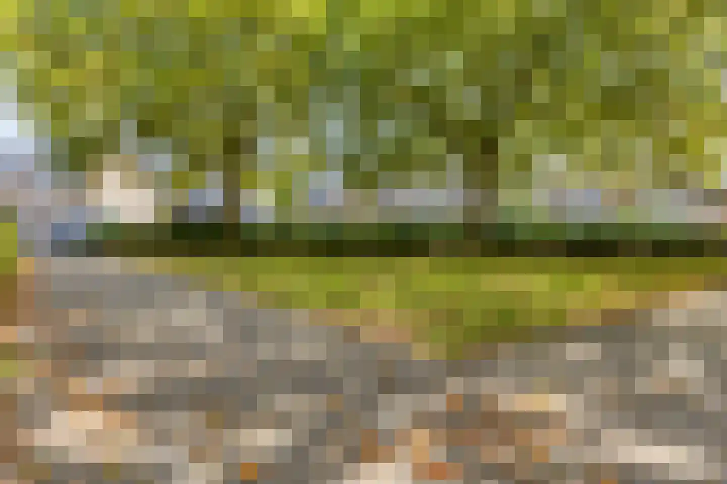 Prickwaert 1 Sliedrecht thumbnail 34