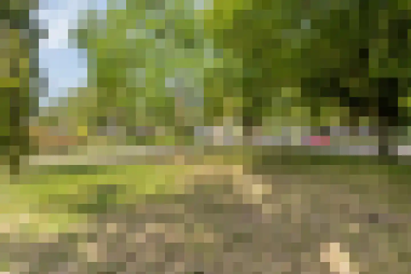 Prickwaert 1 Sliedrecht thumbnail 35