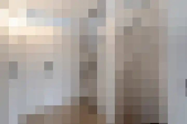 Prickwaert 144 Sliedrecht thumbnail 11