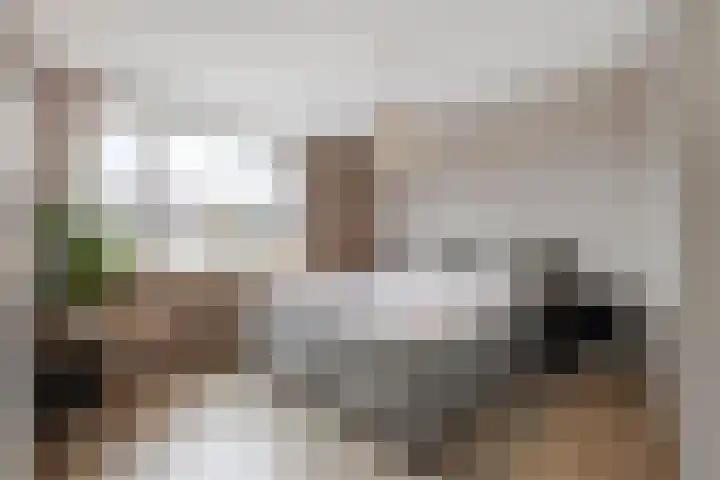 Prickwaert 144 Sliedrecht thumbnail 14