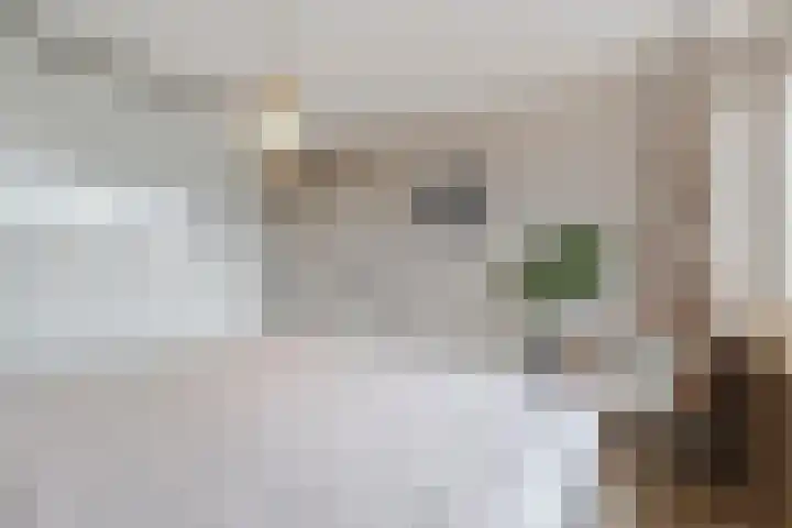 Prickwaert 144 Sliedrecht thumbnail 15