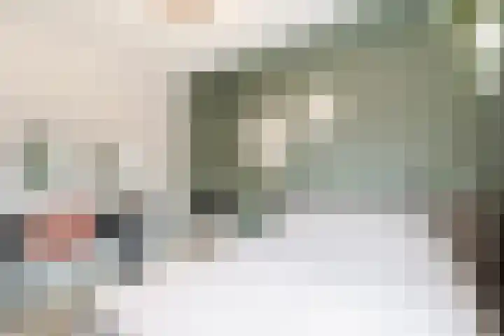 Prickwaert 144 Sliedrecht thumbnail 17