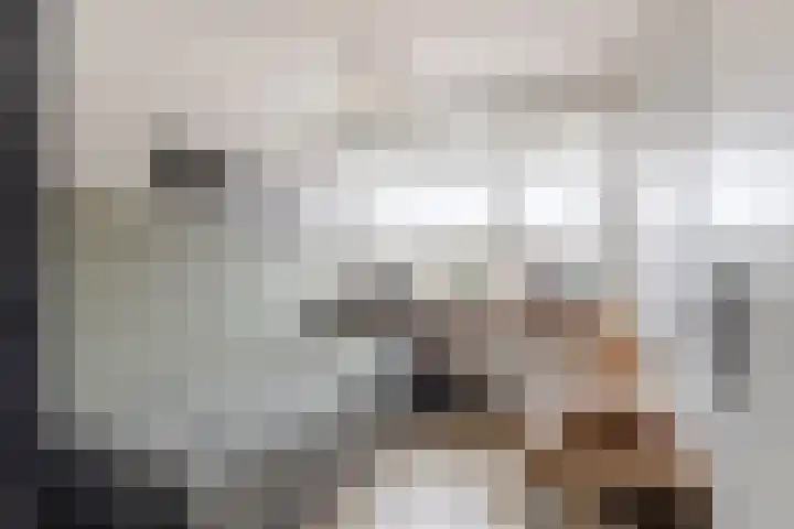 Prickwaert 144 Sliedrecht thumbnail 18