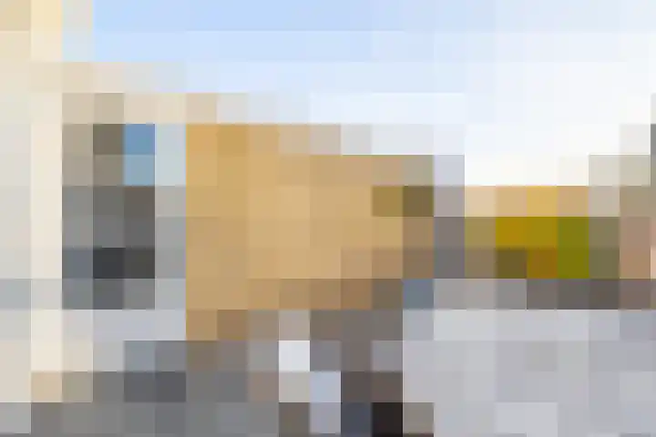 Prickwaert 144 Sliedrecht thumbnail 22
