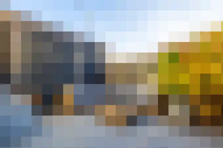Prickwaert 144 Sliedrecht thumbnail 23