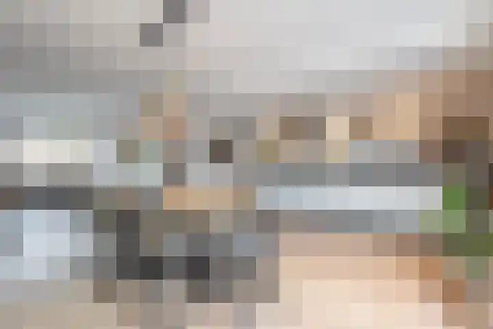 Prickwaert 144 Sliedrecht thumbnail 5