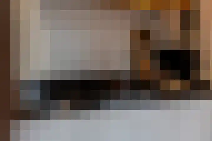 Prickwaert 144 Sliedrecht thumbnail 7